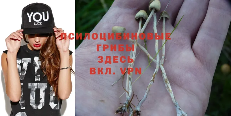 Псилоцибиновые грибы MAGIC MUSHROOMS  где можно купить   Лабытнанги 